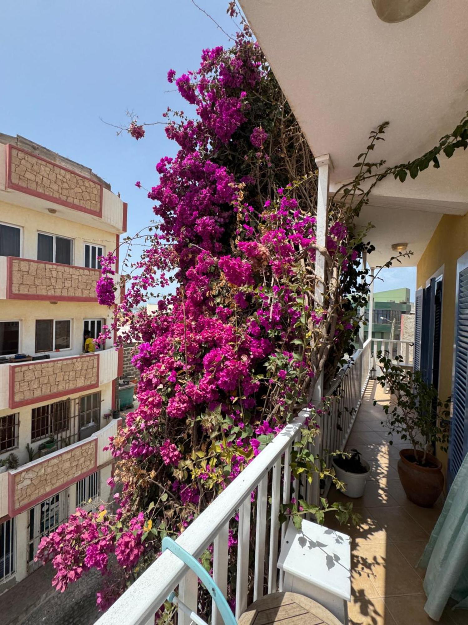 B&B Mi Ma Bo, Sal Rei, Boa Vista, Cape Verde, Free Wi-Fi Luaran gambar